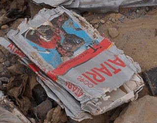 E.T. the Extra-Terrestrial