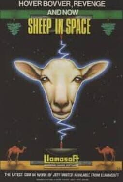 Sheep in Space