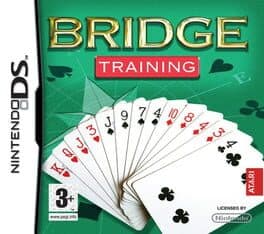 Bridge Training