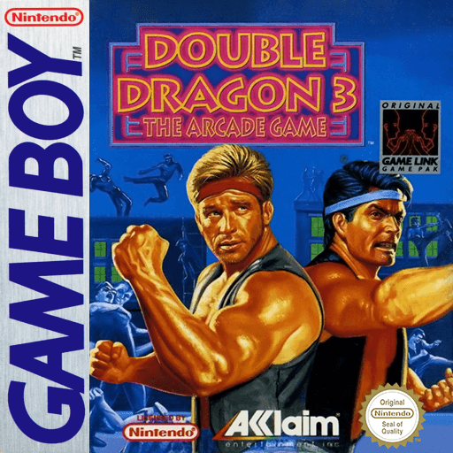 Double Dragon 3: The Arcade Game