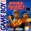 Double Dragon 3: The Arcade Game