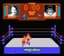 WWF Wrestlemania