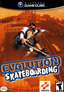 Evolution Skateboarding