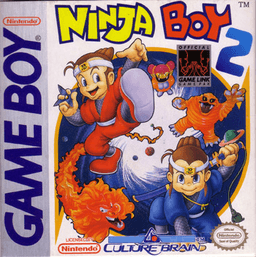 Ninja Boy 2