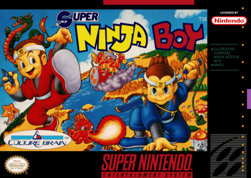 Super Ninja Boy