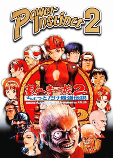Power Instinct 2